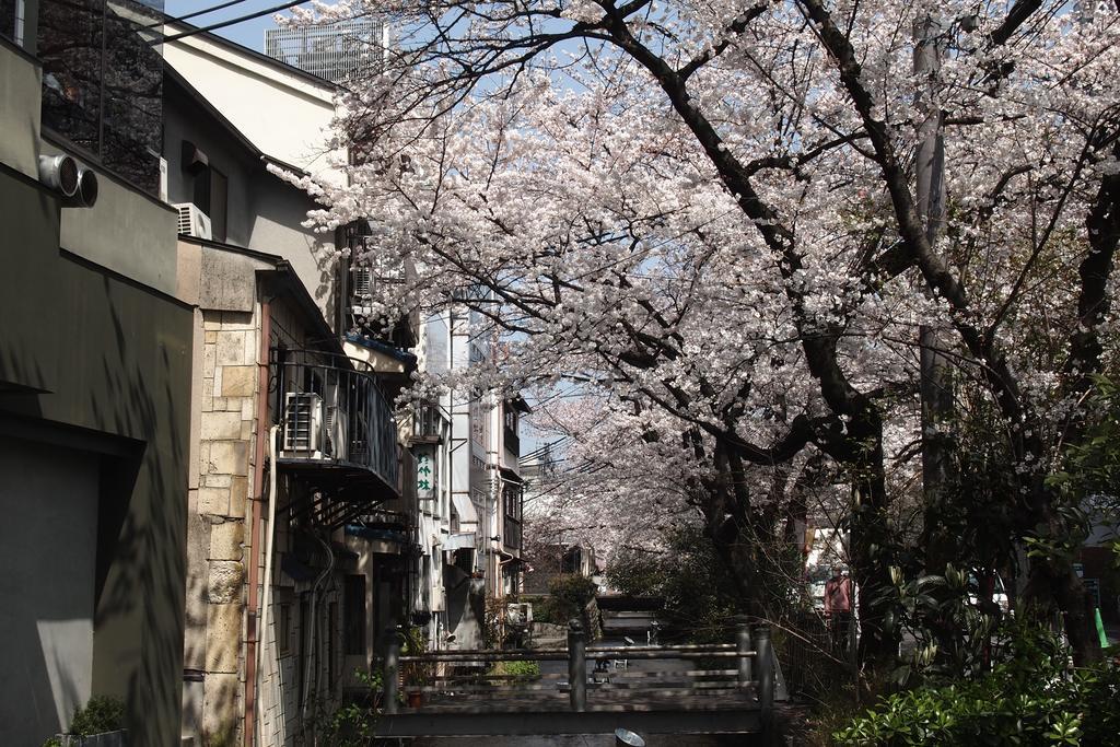 Hotel Bijuu Residencia Kioto Exterior foto